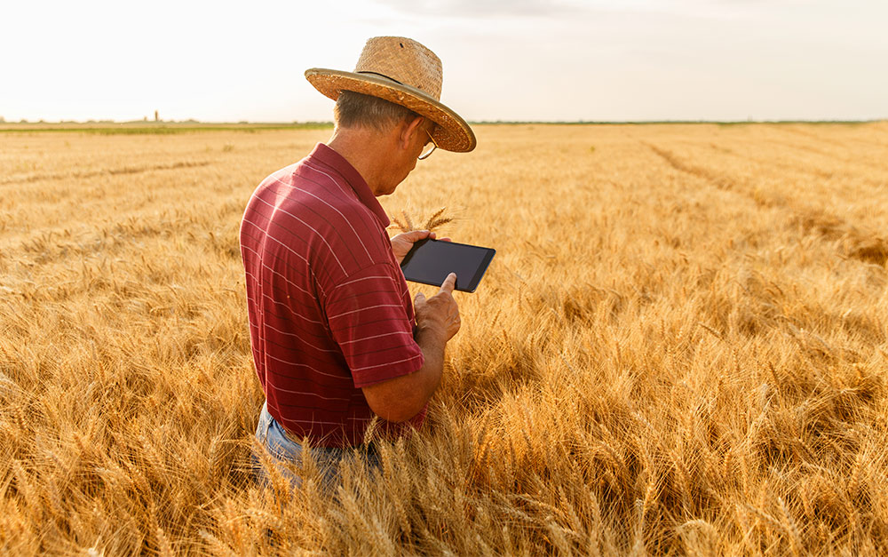 agricultor organizando seus negócios de agronegócio através da tecnologia.